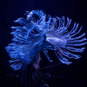 Las noches de la Tora: Joan Fenollar - Fila 1 - Sábado 21 de febrero